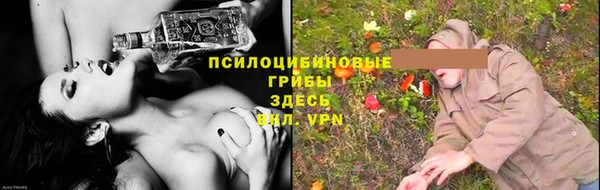 крисы Абинск