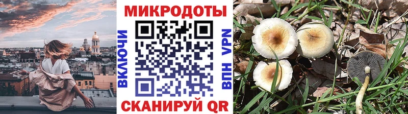 Галлюциногенные грибы прущие грибы  Дальнереченск 